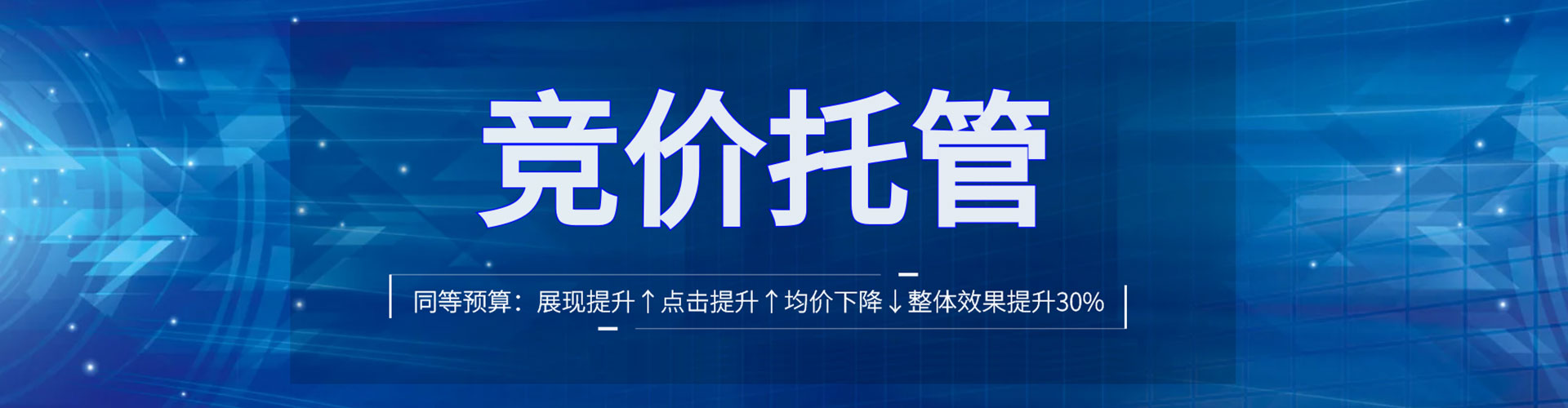 林园百度竞价